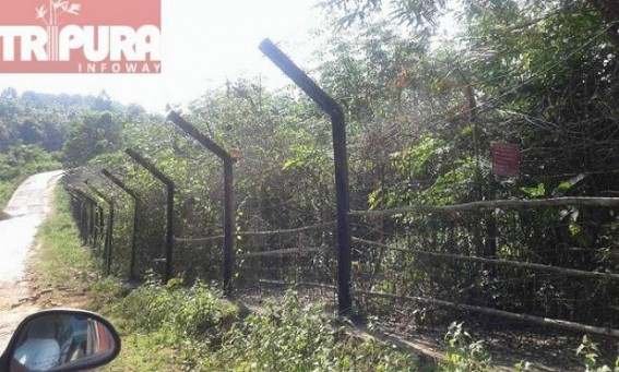 Theft cases on a rise in the border areas of Belonia Town Theft cases on a rise in the border areas of Belonia Town